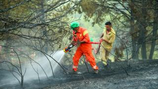 Yeşil Vatan'ın 'turuncu gönüllüler'i görev başında