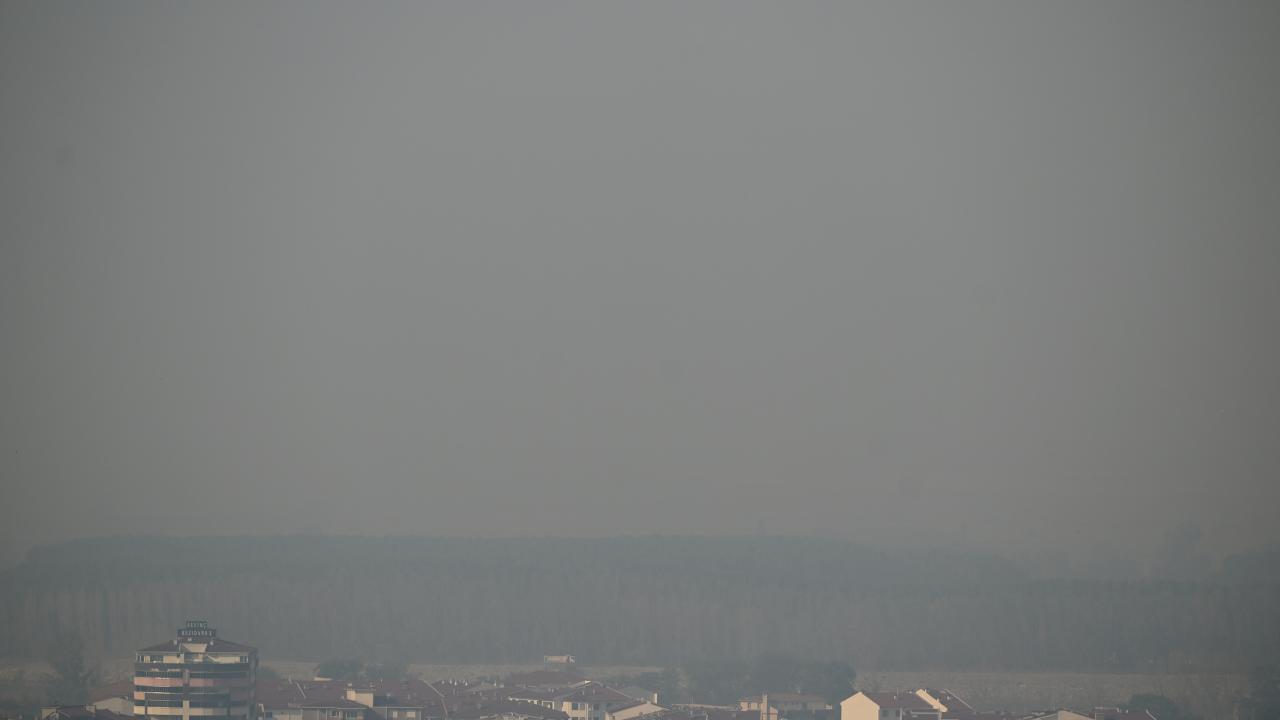 Bulgaristan'daki orman yangınının koku ve dumanı Edirne'ye ulaştı