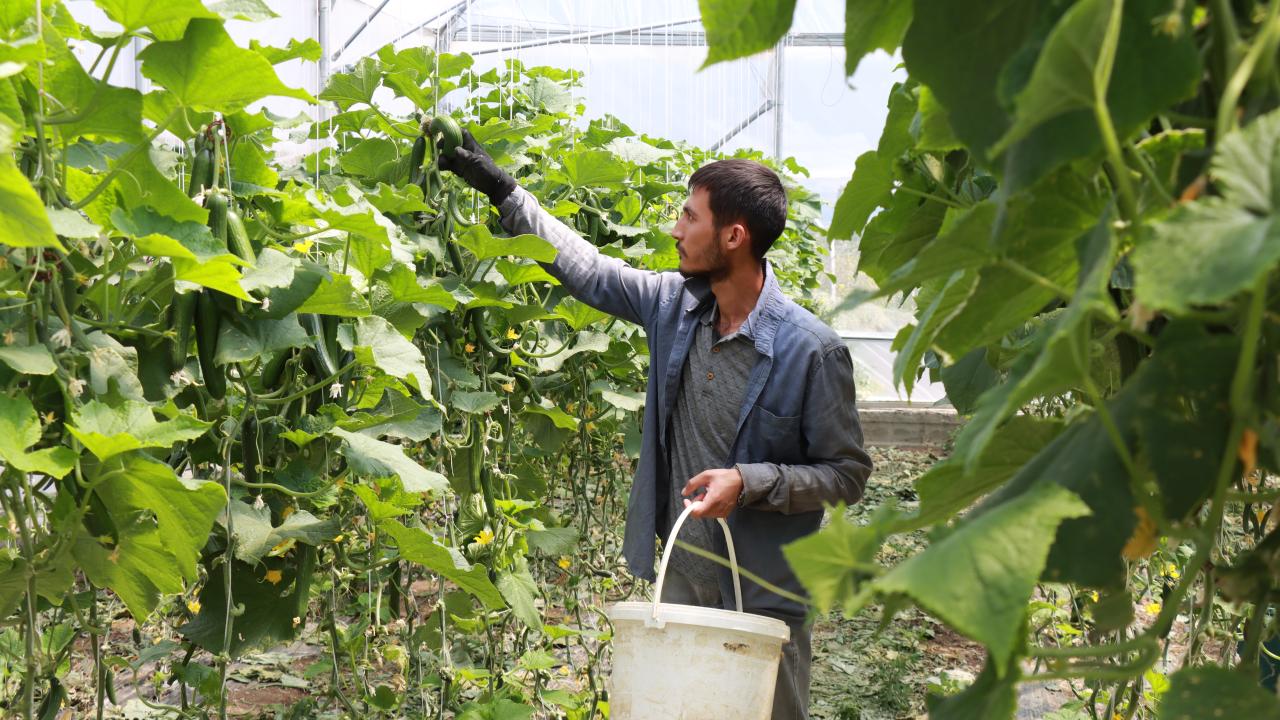 "Devletimiz, üretmek isteyen herkesin arkasında duruyor"
