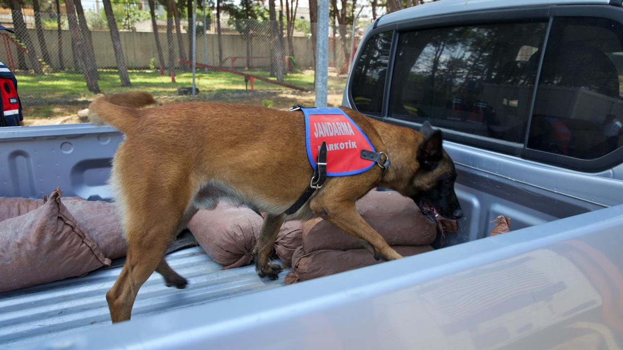 "Uyuşturucu tespitinde önemli rol alıyorlar"