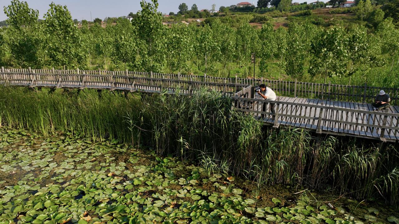 "Harika ötesi bir doğa"