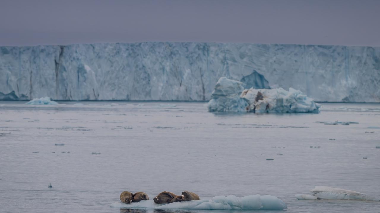  "12 araştırmacı 19 ayrı proje icra etti"