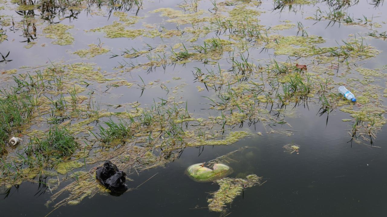 "Güzelim nehrin kıymeti bilinmiyor"