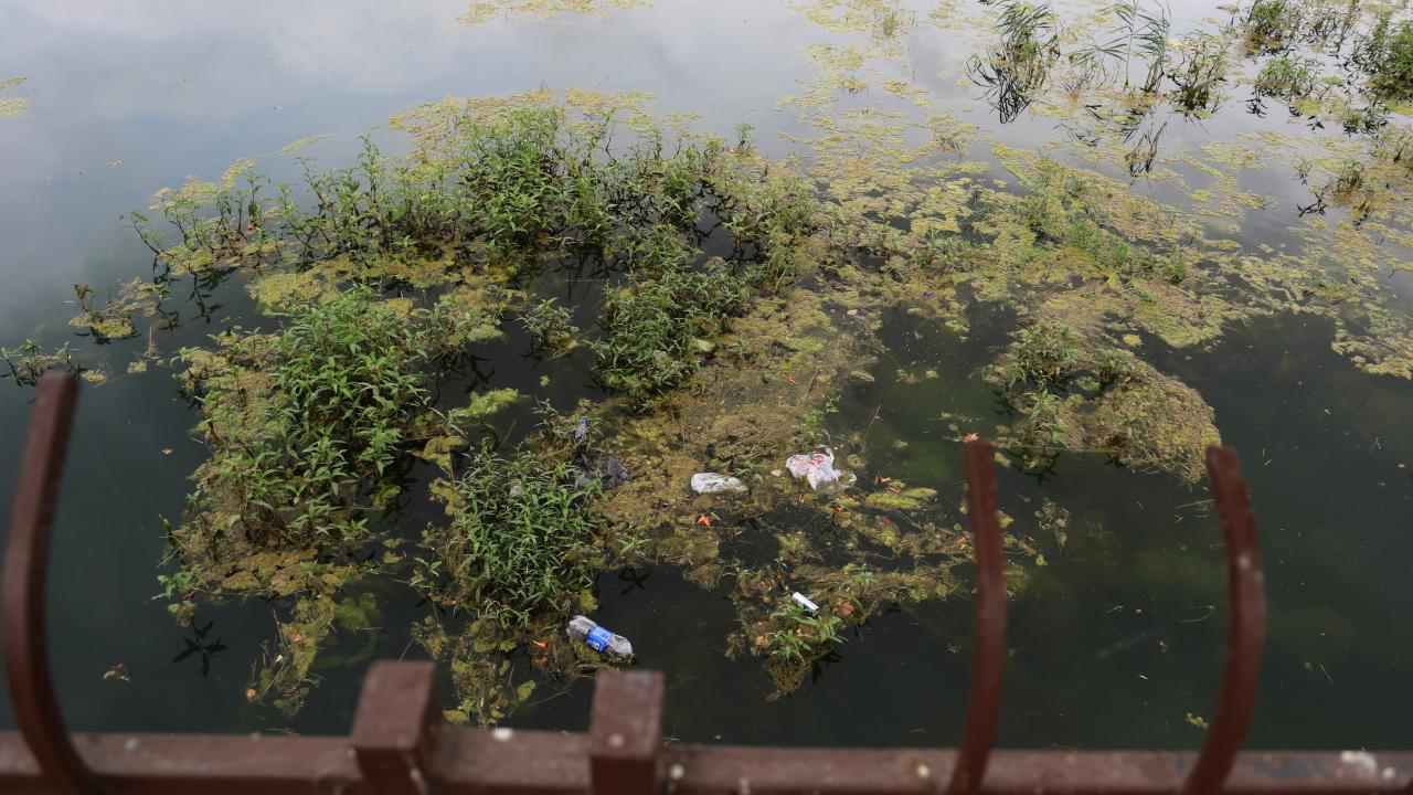 "Güzelim şehir böyle olmamalı"