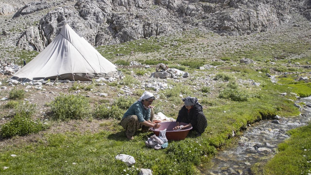 "Sürekli koyunların önünde bekliyoruz, çok az uyuyoruz"