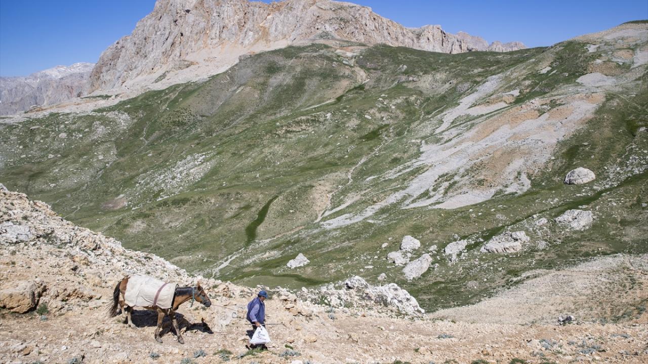"Munzurlarda çocukluğum geçtiği için buralara özlem duyuyorum"