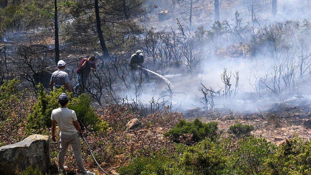 Havai fişek yangına sebep oldu, 4 şüpheli tutuklandı