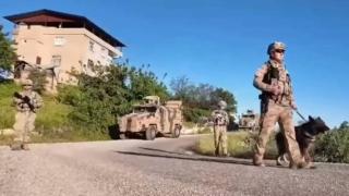 Diyarbakır'da 4 milyon 459 bin kök kenevir ve skunk ele geçirildi