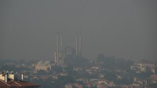 Bulgaristan'daki orman yangınının koku ve dumanı Edirne'ye ulaştı