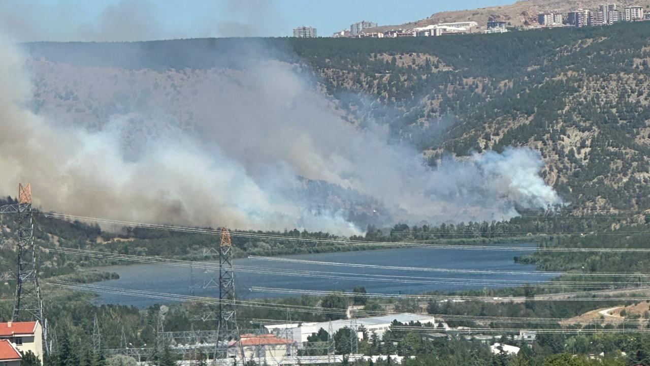 Eymir'de orman yangını