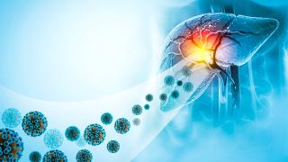 Karaciğerin sessiz düşmanı: Hepatit