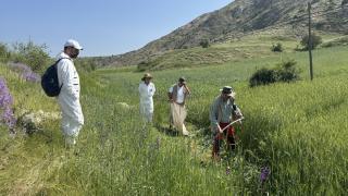 Akademisyenler kenelerin hastalık bulaştırma yüzdelerini araştırıyor