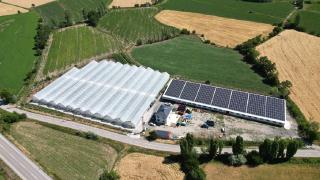 Erzincanlı genç girişimci devlet desteğiyle kurduğu modern çiftlikte tarım ve hayvancılık yapıyor