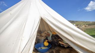 Tunceli yaylalarında zorluklara göğüs gerip doğal yöntemle peynir üretiyorlar