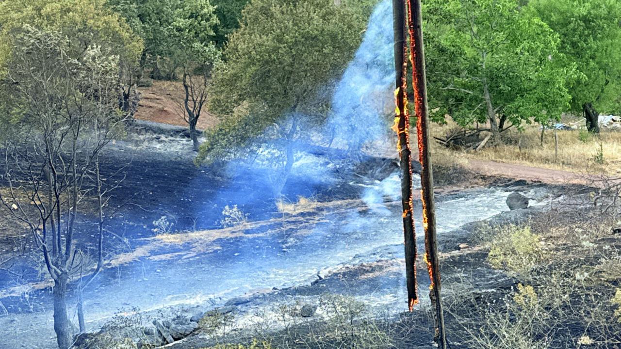 Antalya ve Manisa'da orman yangını