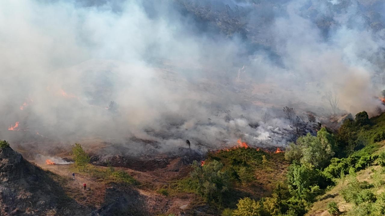 Sakarya'daki orman yangını kontrol altında