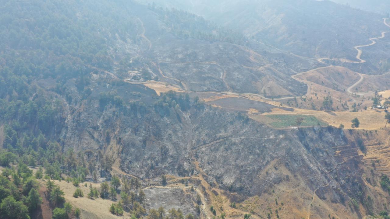 Kahramanmaraş’taki orman yangını kontrol altında