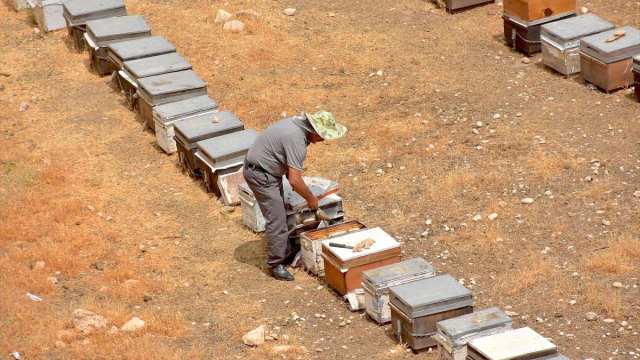 "Türkiye`nin bir ucundan diğer ucuna bal satıyorum"