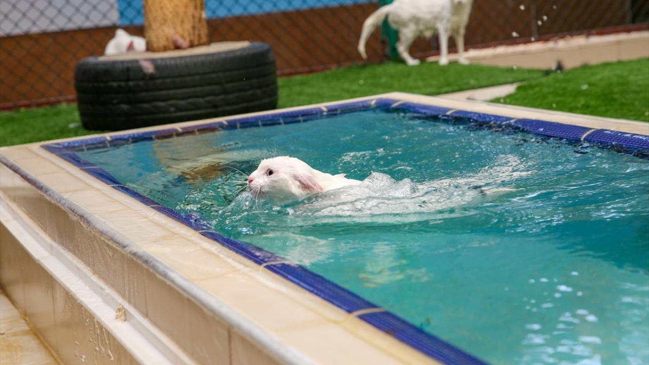 "Konfor açısından herhangi bir eksiklikleri yok"