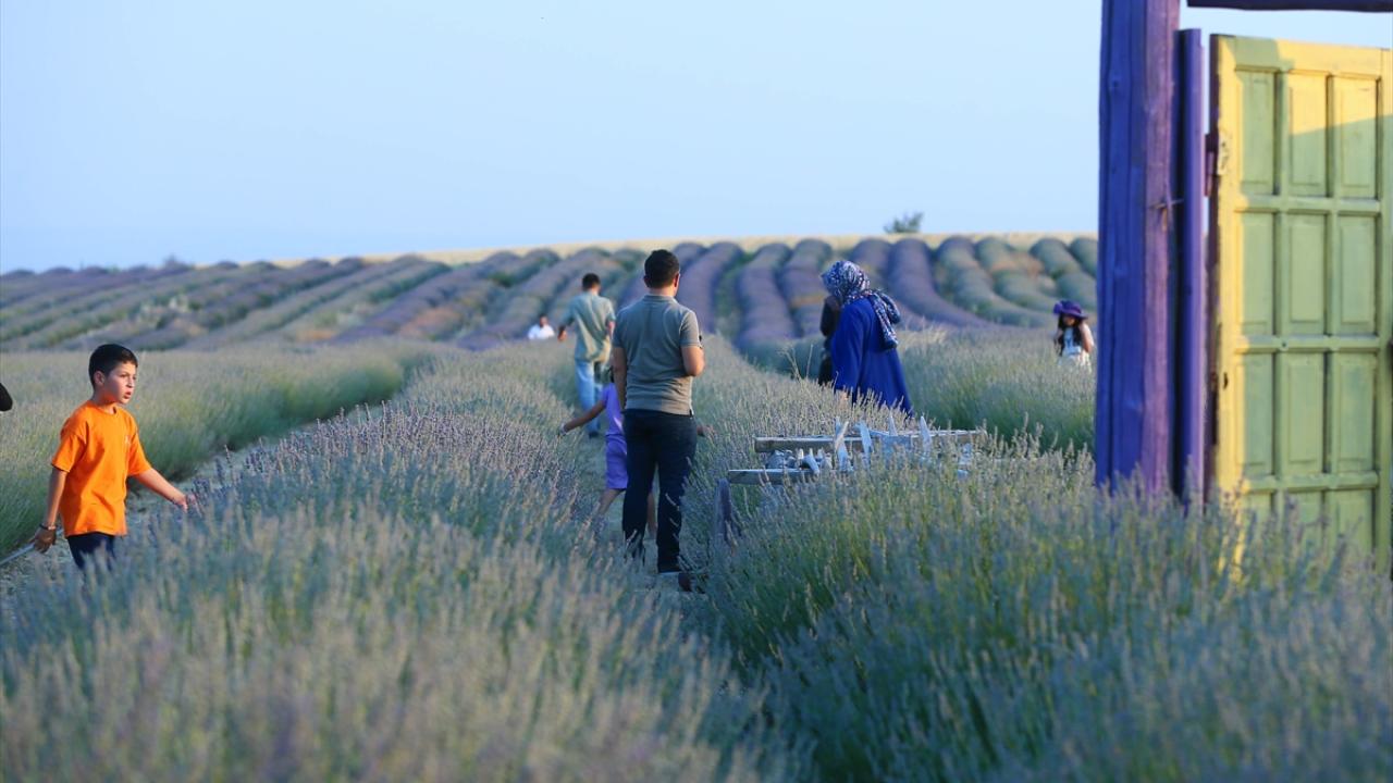 Turistlerin ilgisini çekiyor
