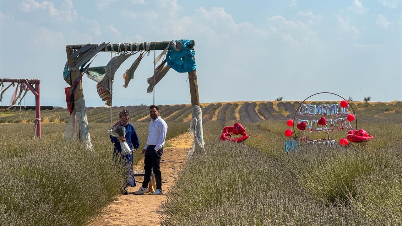 "İhracat noktasında da ilimize ve çiftçimize katkıda bulunuyoruz"
