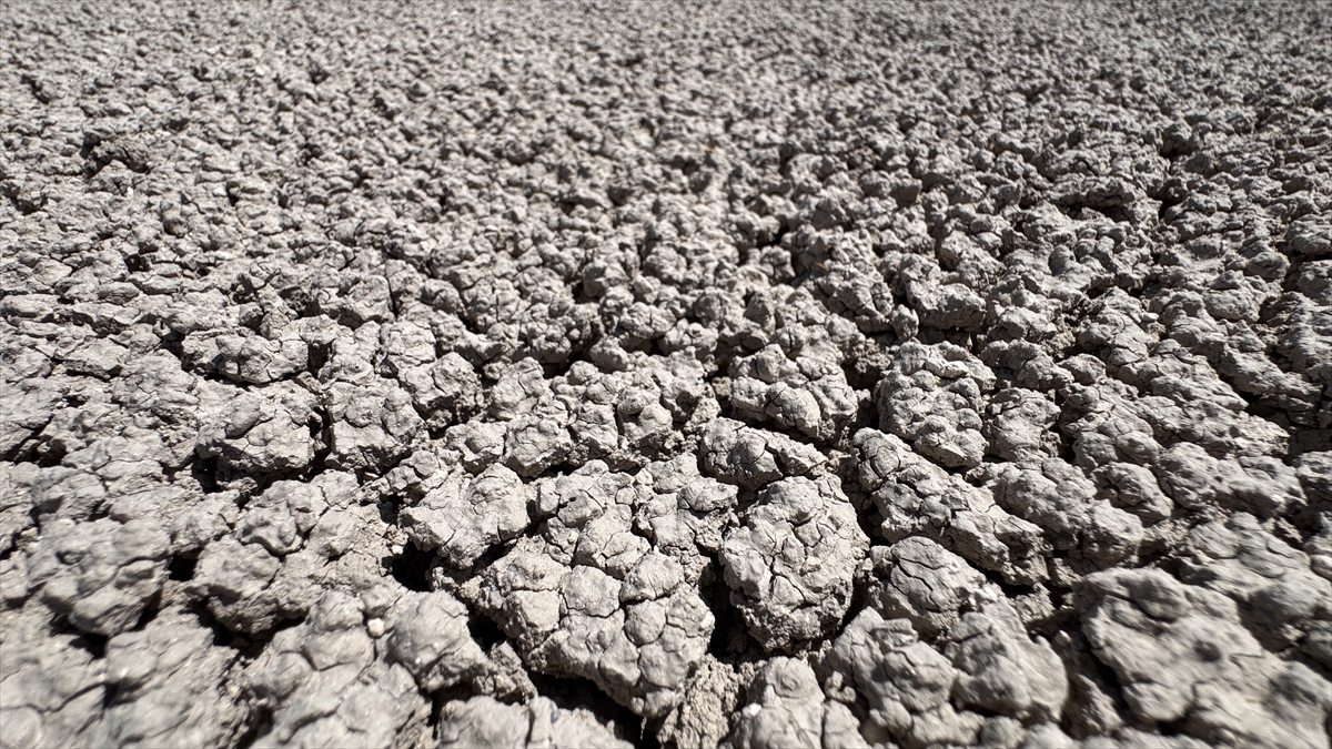 "Arabistan`da, Libya`da gibisiniz"