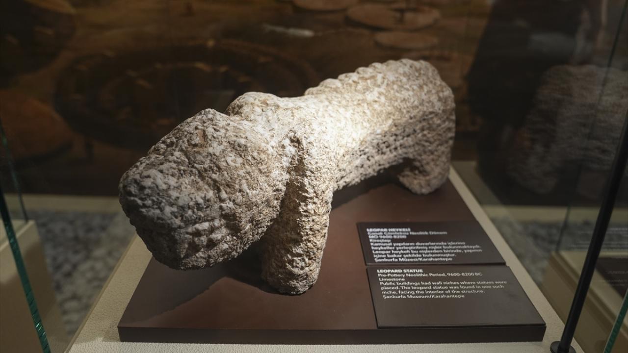 "Bilgiyi dünyayla paylaşmak öncelikli hedefimiz"