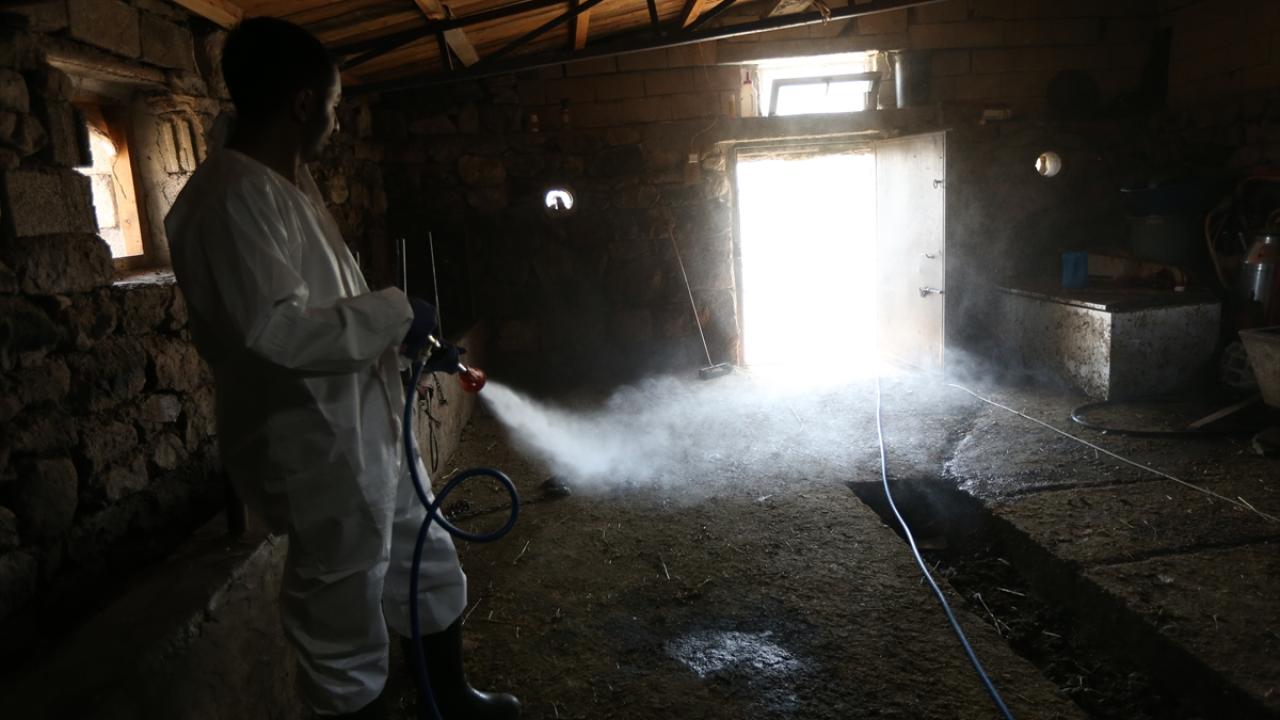 "Tüm köylerde dezenfeksiyon çalışmasına başladık"