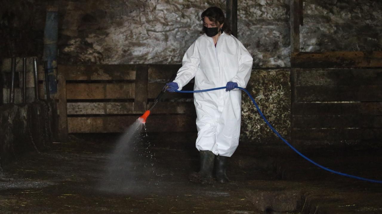 "Olası hastalıkların çıkmasını engelliyoruz"