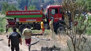 "Alev savaşçıları" Bilecik'teki orman yangınında adeta canlarını dişlerine taktı