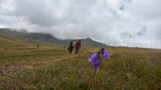 Zirvedeki "saklı cennet" Çakırgöl doğa tutkunlarını ağırlıyor