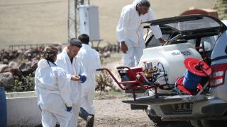 Kars'ta "dezenfeksiyon timi" şap hastalığıyla mücadele için 100 kişilik ekiple sahada