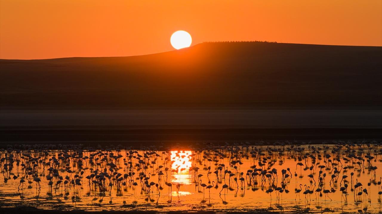 Düden Gölü’nde flamingolar gün doğumuyla birlikte görsel şölen sunuyor