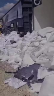 Yahudi işgalciler Gazze'ye giden yardım tırlarına saldırdı