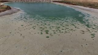 Kırklareli'nin Oruçlu Göleti kuraklık nedeniyle kuruma noktasına geldi