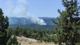 Mersin'de orman yangını