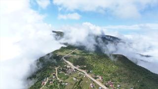 Sis Dağı Yaylası doğaseverlerin gözdesi oldu