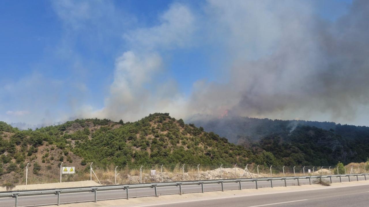 Tokat'ta orman yangını
