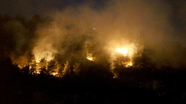 Karabük'te ormanlık alanda yangın: 1 köy boşaltıldı