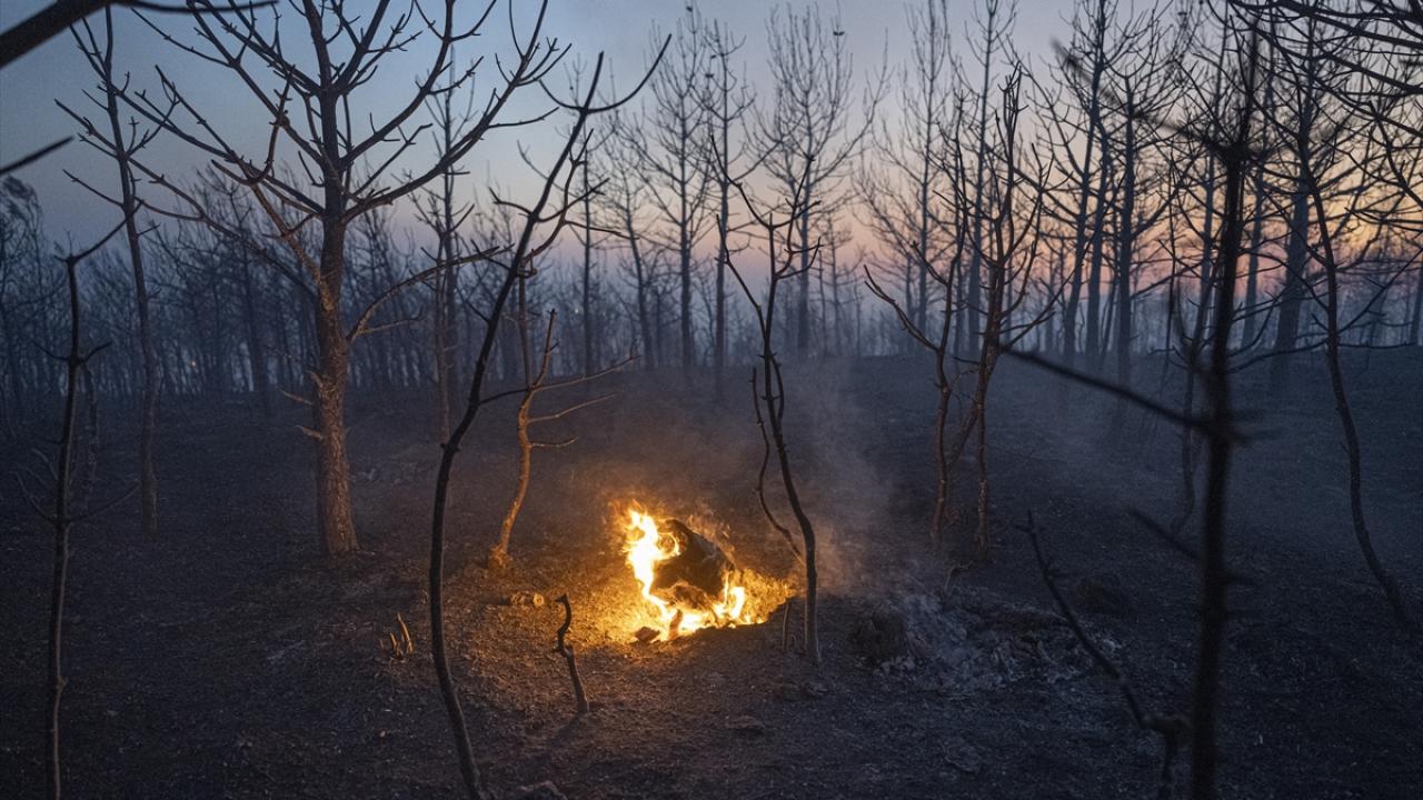Çanakkale-Ezine kara yolu ulaşıma açıldı