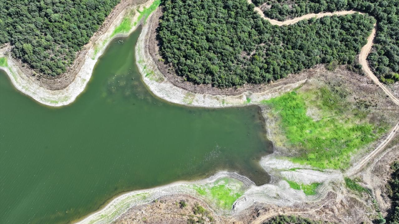 Son yıllardaki doluluk oranları