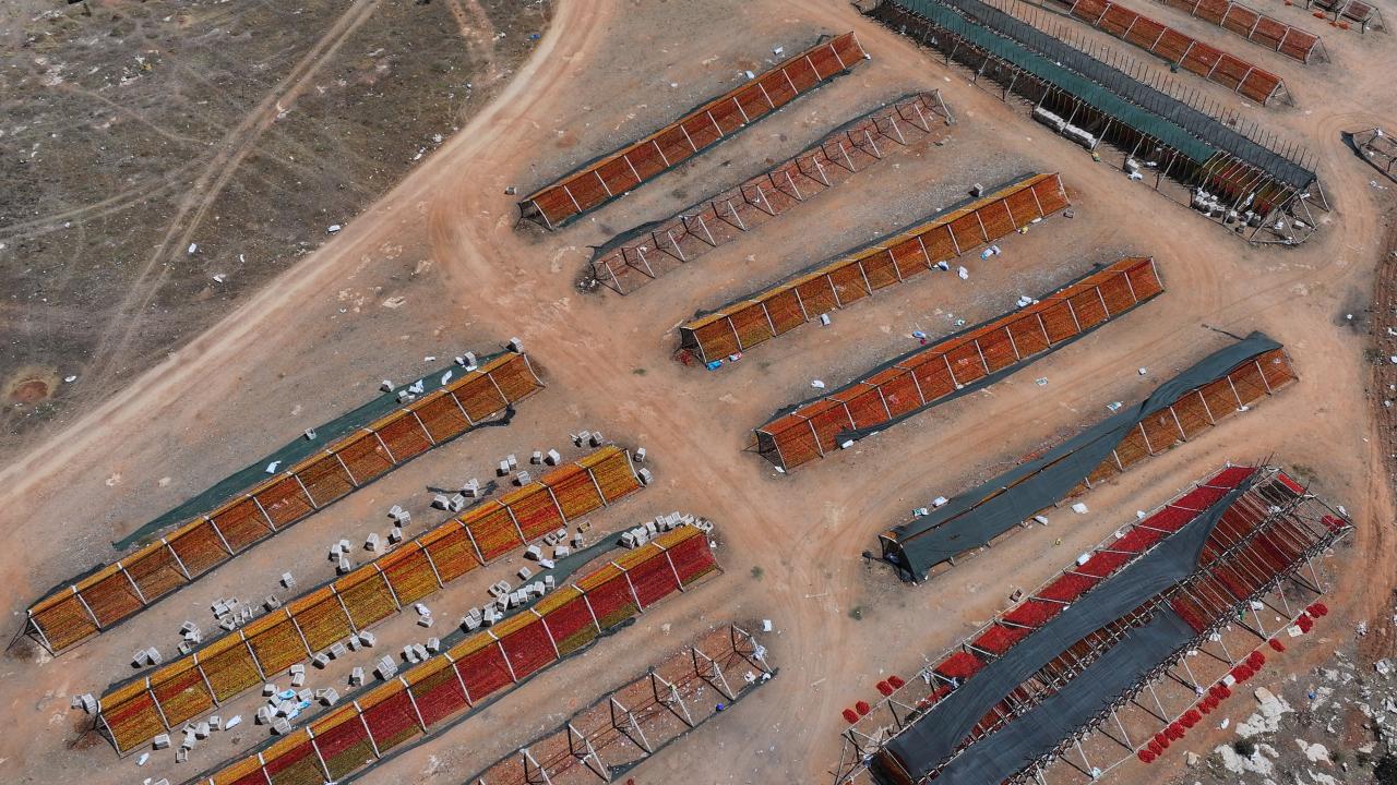 "Yurt dışına da gönderiyoruz"