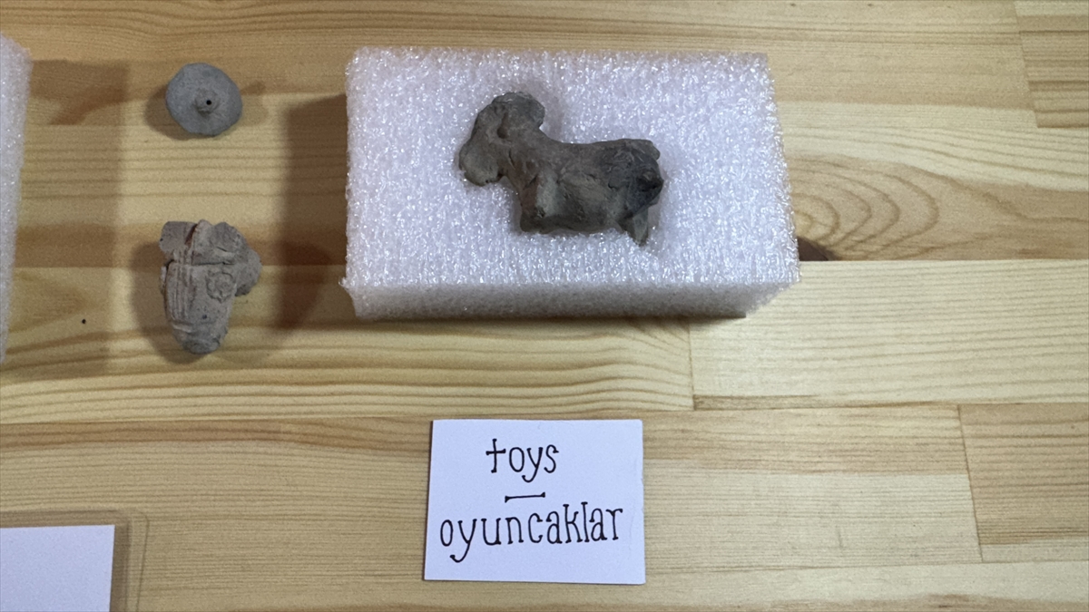 Oyuncak ve hayvan kemiğinden kalem heyecan uyandırdı