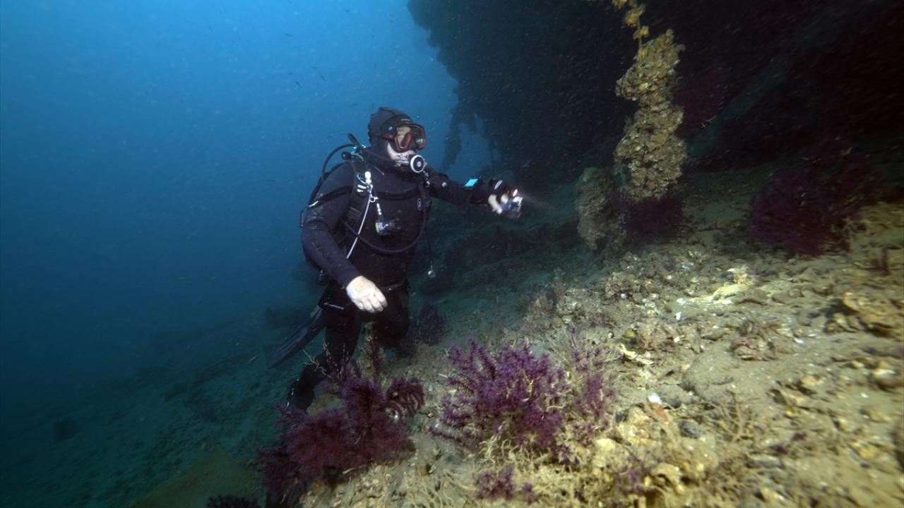 Çanakkale Boğazı derinliklerindeki Kaptan Frangos Batığı