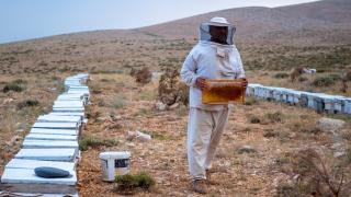 Antalya'da yayla balı hasadı başladı