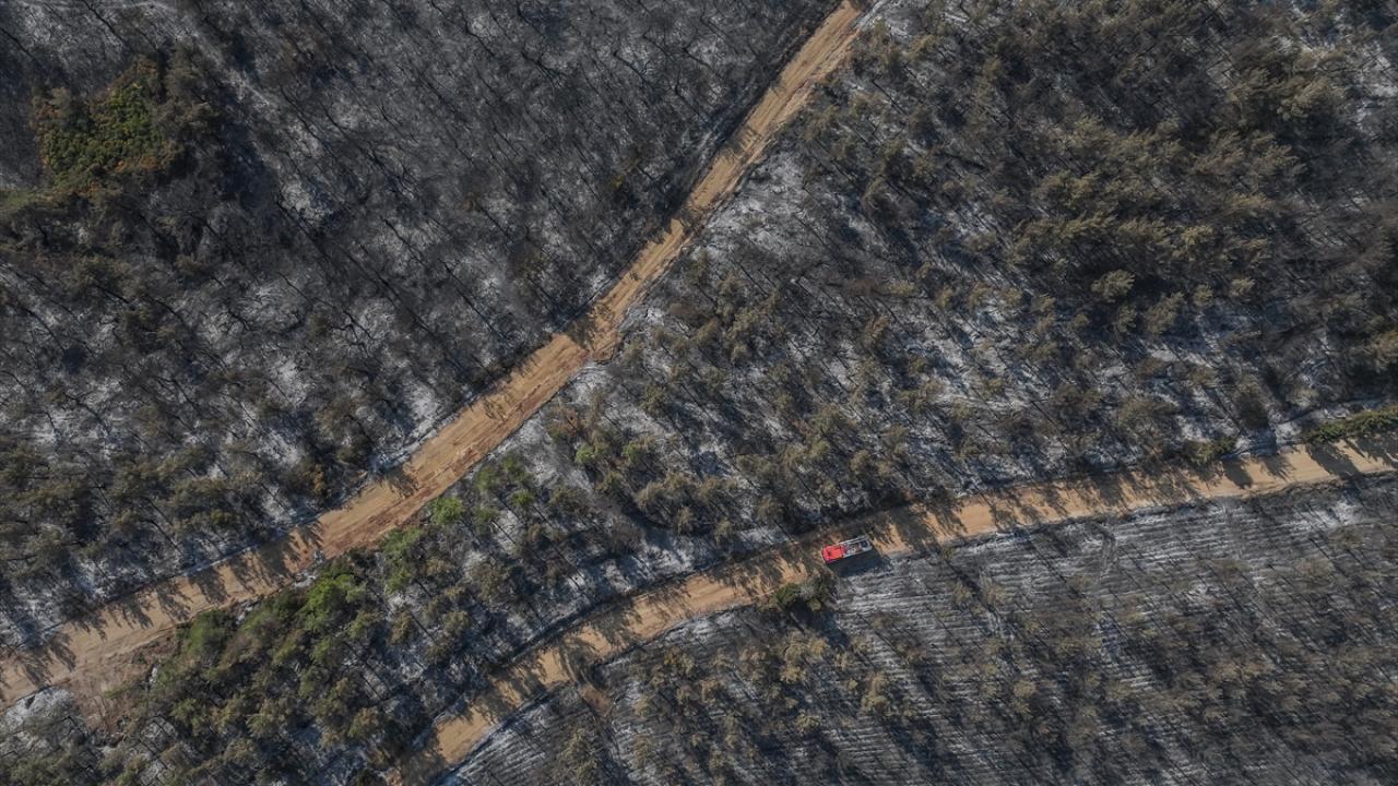 Çanakkale'de yangında zarar gören alanlar dronla görüntülendi