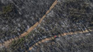 Çanakkale'de yangında zarar gören alanlar dronla görüntülendi