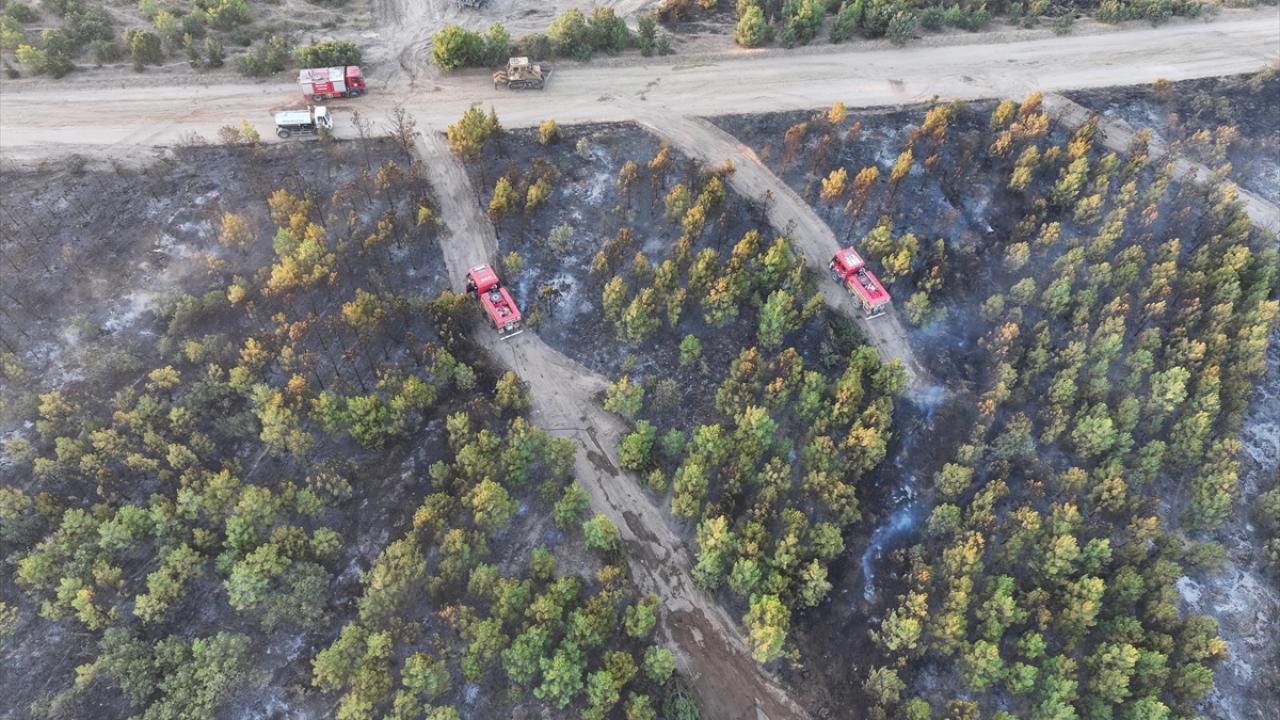 Edirne'de çıkan orman yangını kontrol altına alındı