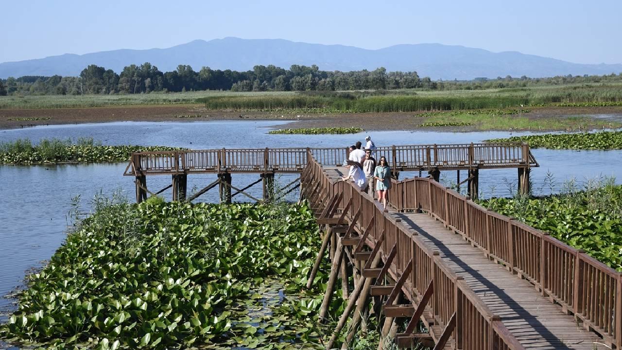 Efteni Gölü Kuş Cenneti hafta sonu doğa tutkunlarını ağırladı