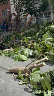 İstanbul'da fırtına: Ağaçlar devrildi, iki kişi yaralandı